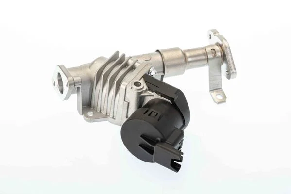 ERG vožtuvas BORGWARNER 7574D