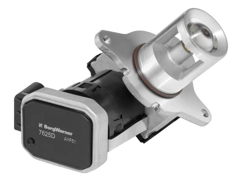 ERG vožtuvas BORGWARNER 7625D