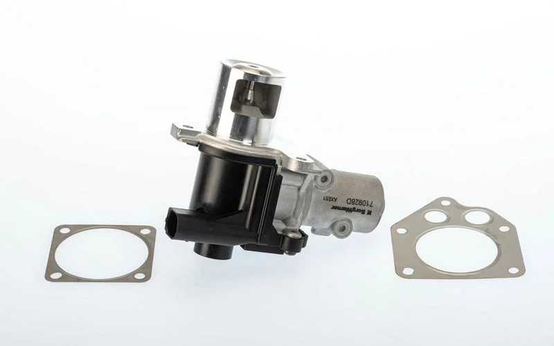 ERG vožtuvas BorgWarner 710928D/1