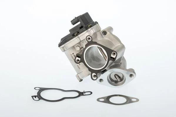 ERG vožtuvas BorgWarner 710945D/1