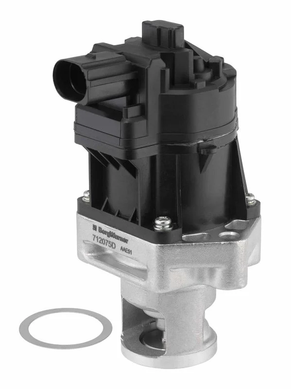 ERG vožtuvas BorgWarner 712075D