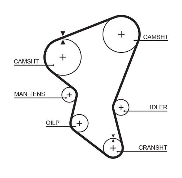 Timing Belt GATES 5171XS