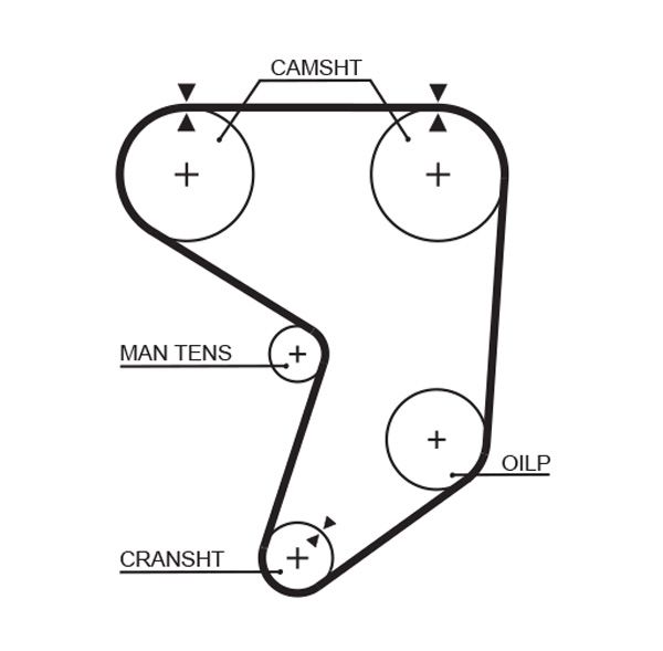 Timing Belt GATES 5195XS