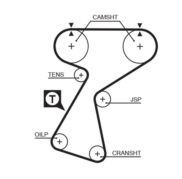 Timing Belt GATES 5244XS