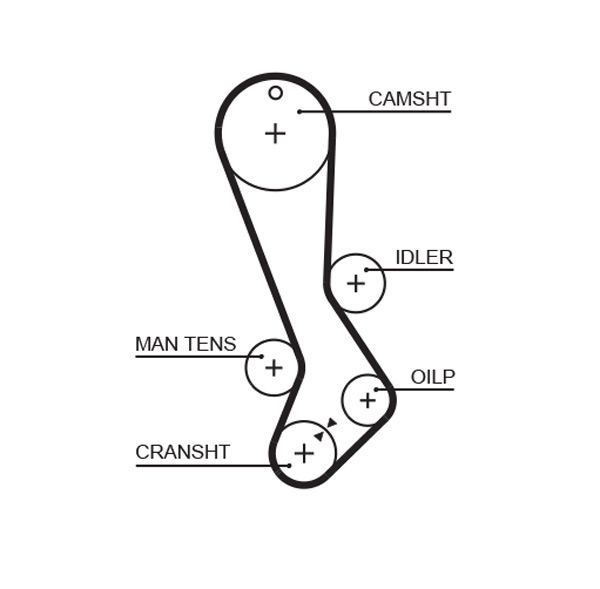 Timing Belt GATES 5282XS