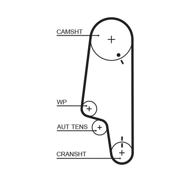 Timing Belt GATES 5427XS