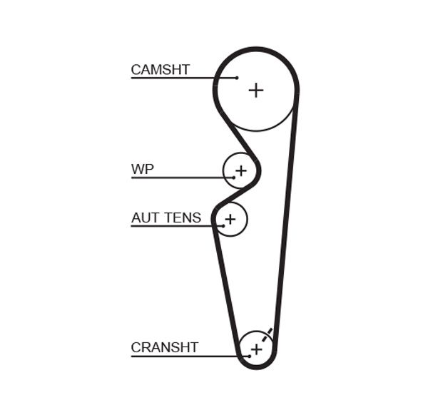 Timing Belt GATES 5431XS