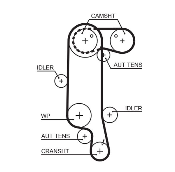 Timing Belt GATES 5565XS