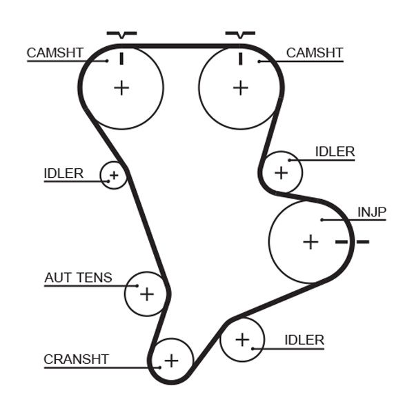 Timing Belt GATES 5583XS