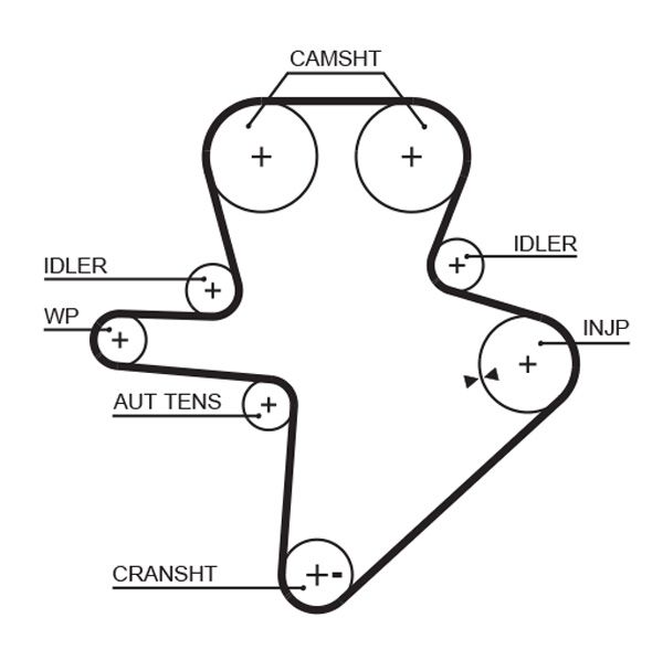 Timing Belt GATES 5586XS