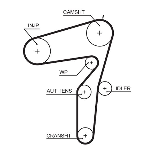 Timing Belt GATES 5600XS