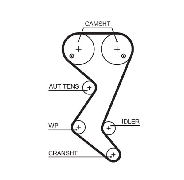 Timing Belt GATES 5608XS