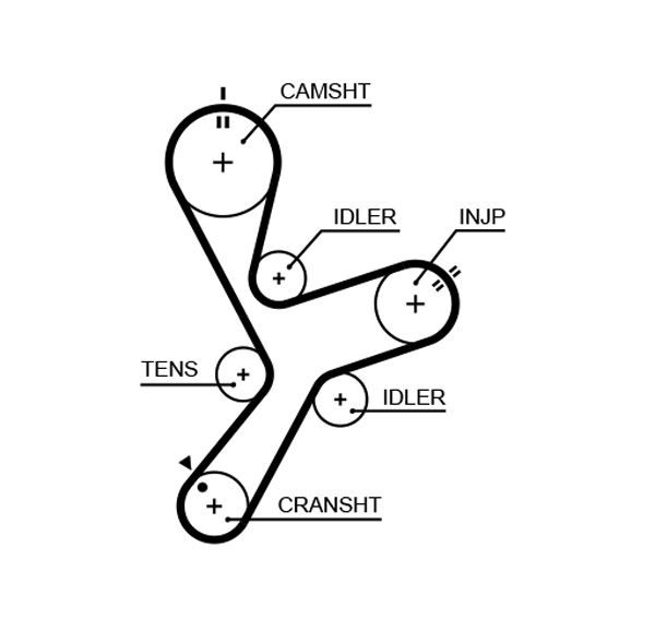 Timing Belt GATES 5641XS