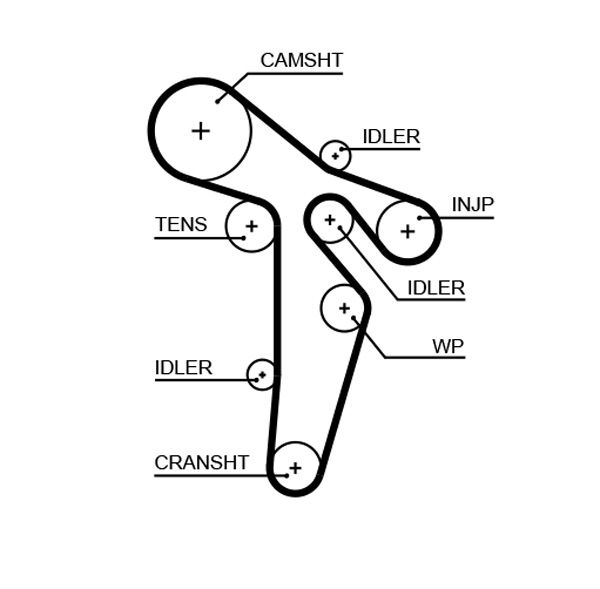 Timing Belt GATES 5648XS