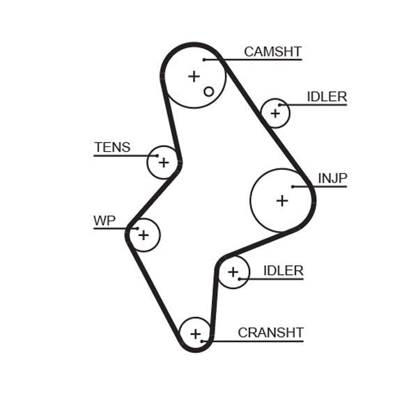 Timing Belt GATES 5658XS