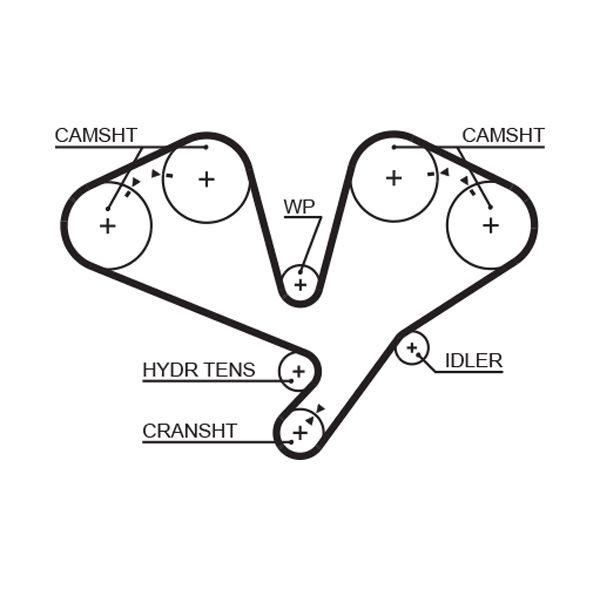 Timing Belt GATES 5659XS