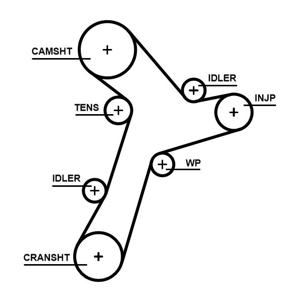 Timing Belt GATES 5695XS