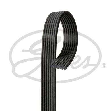 V-Ribbed Belt GATES 7DPK1560