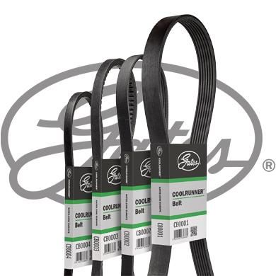 V-Belt GATES CB0017