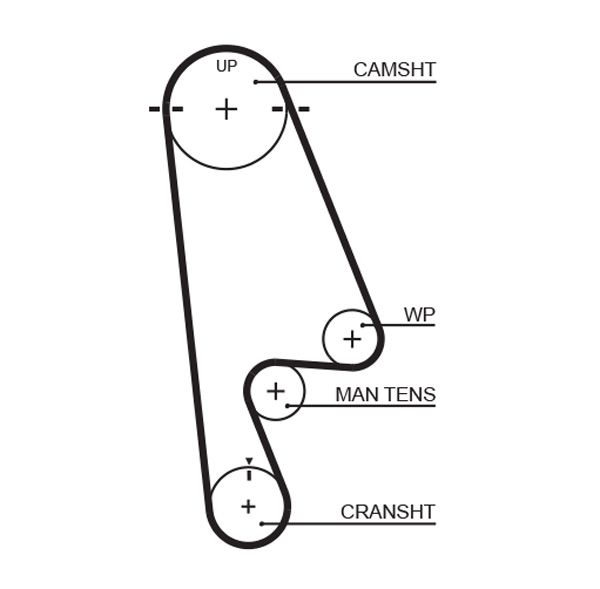 Timing Belt GATES T244RB