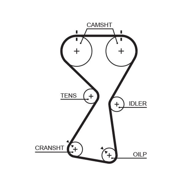 Paskirstymo diržas GATES T256RB