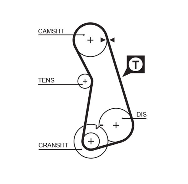 Paskirstymo diržas GATES T262RB