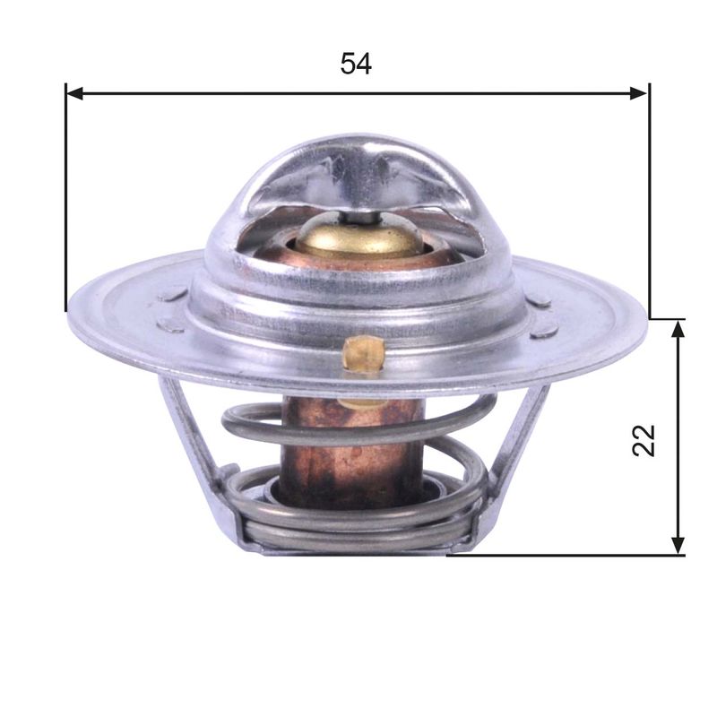 Termostatas, aušinimo skystis GATES TH12888G1