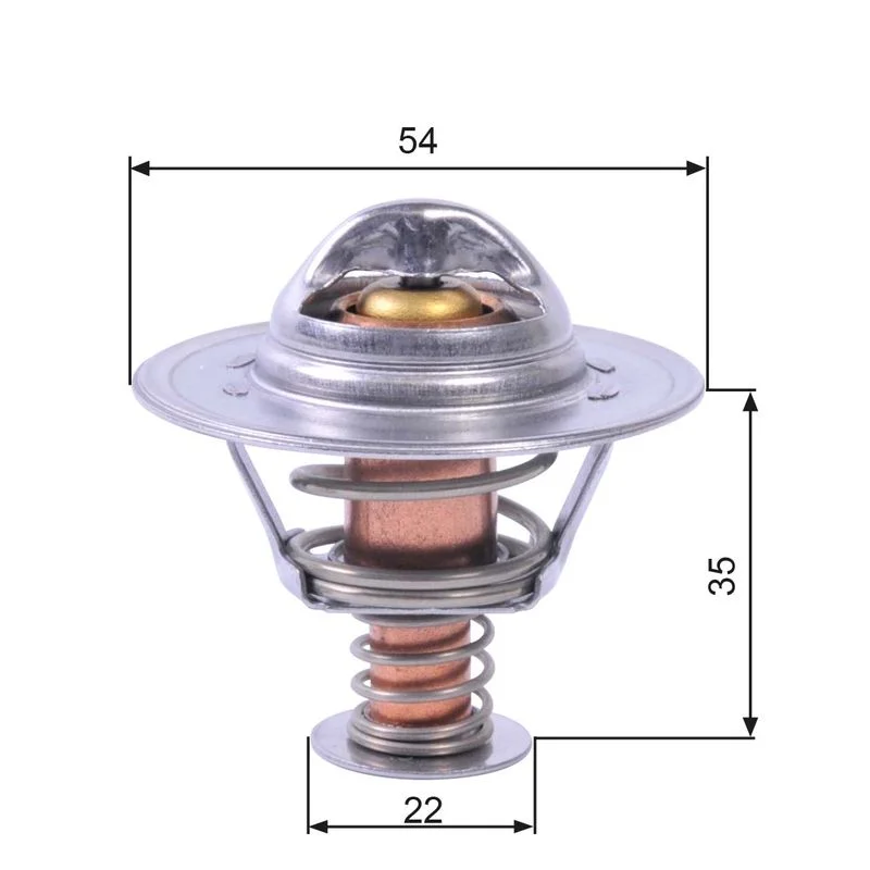 Termostatas, aušinimo skystis GATES TH22689G1