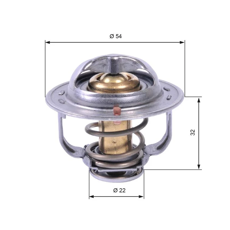 Termostatas, aušinimo skystis GATES TH42589G1