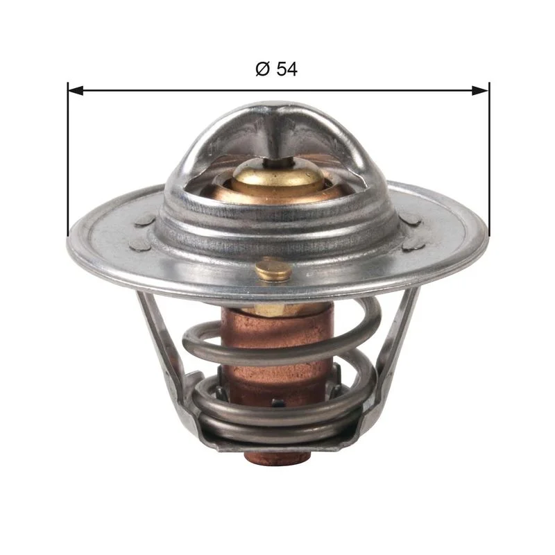 Termostatas, aušinimo skystis GATES TH45790G1