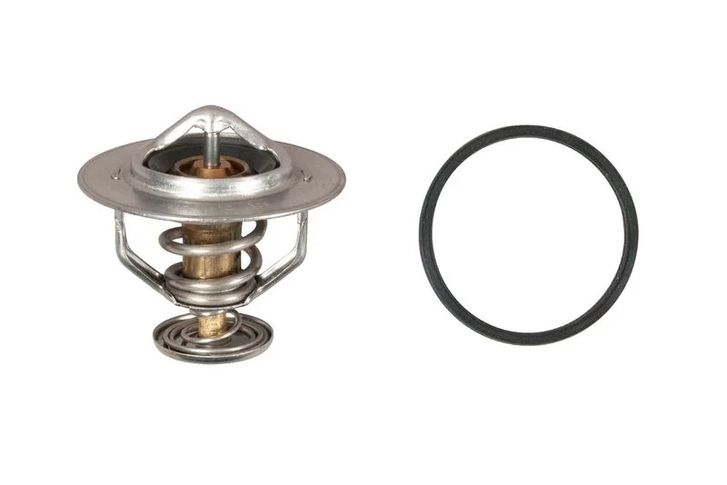 Termostatas, aušinimo skystis GATES TH60588G1
