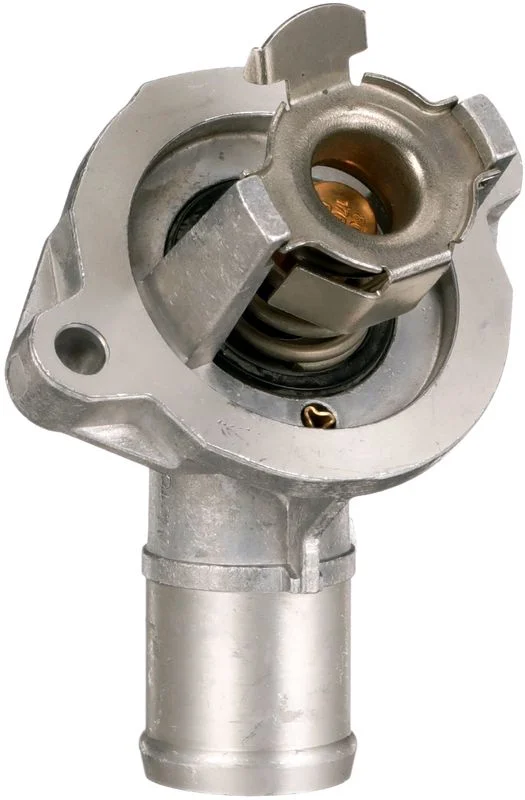 Termostatas, aušinimo skystis  TH69880G1