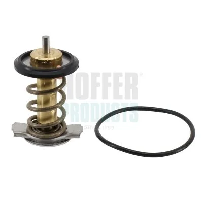 Termostatas, aušinimo skystis  8192957