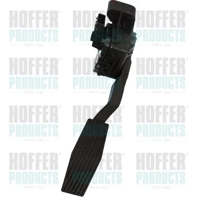 Važiavimo pedalų komplektas HOFFER 7513537