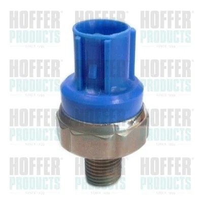 Detonacijos jutiklis HOFFER 7517982