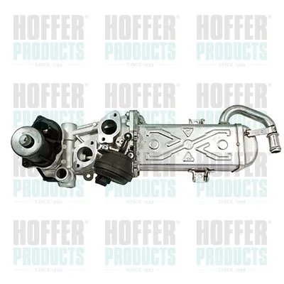 ERG vožtuvas HOFFER 7518259R