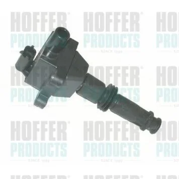 Ritė, uždegimas HOFFER 8010310