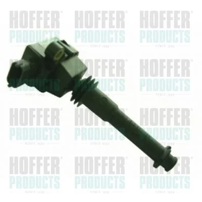 Ritė, uždegimas HOFFER 8010312