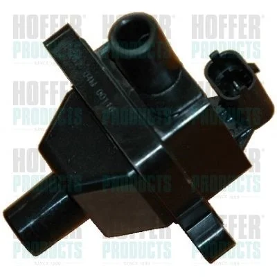 Ritė, uždegimas HOFFER 8010378