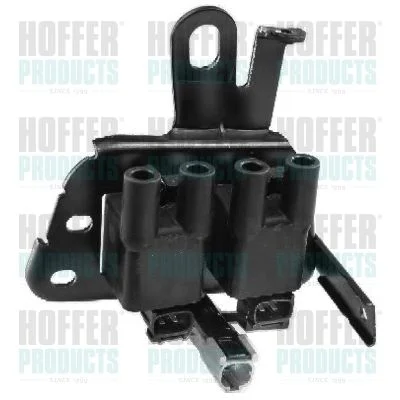 Ritė, uždegimas HOFFER 8010402