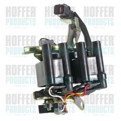 Ritė, uždegimas HOFFER 8010437