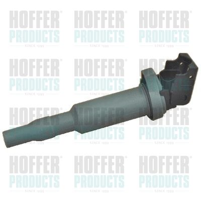 Ritė, uždegimas HOFFER 8010528E