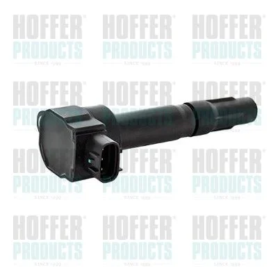 Ritė, uždegimas HOFFER 8010800