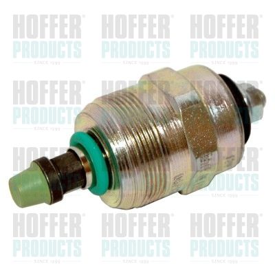 Fuel Cut-off, injection system HOFFER 8029006