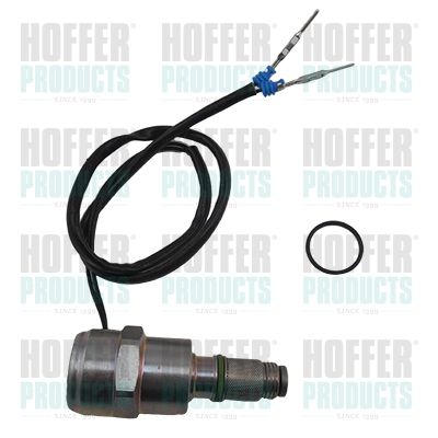 Fuel Cut-off, injection system HOFFER 8029031