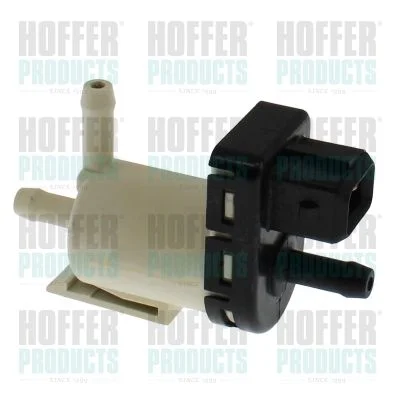 Slėgio keitiklis, turboįkrova HOFFER 8029223
