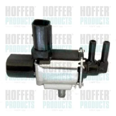 Slėgio keitiklis HOFFER 8029448
