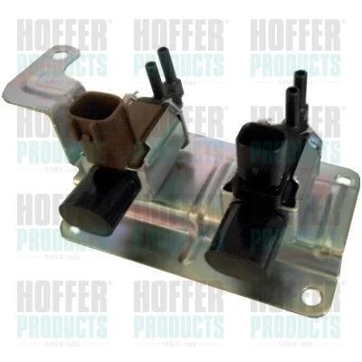 Slėgio keitiklis HOFFER 8029486
