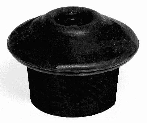Variklio montavimas lemfÖrder 16597 01