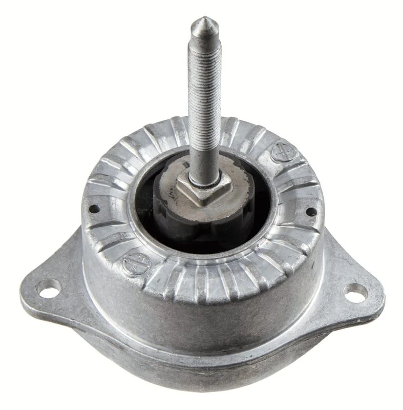 Variklio montavimas LEMFÖRDER 43539 01
